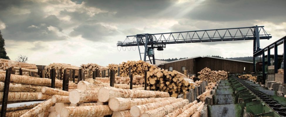 ISCC国际可持续发展和碳认证